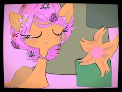 Size: 1280x960 | Tagged: safe, artist:supernoncutie, fluttershy, g4, female, solo