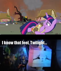 Size: 757x883 | Tagged: safe, edit, edited screencap, screencap, owlowiscious, twilight sparkle, alicorn, pony, g4, caption, crossover, female, golden oaks library, i know that feel bro, lego, mare, sad, the lego movie, twilight sparkle (alicorn), unikitty, warner brothers