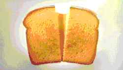 Size: 500x285 | Tagged: safe, cheese sandwich, g4, animated, barely pony related, grilled cheese, live action, pun, visual pun