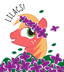 Size: 480x540 | Tagged: safe, artist:dm29, big macintosh, earth pony, pony, g4, floral head wreath, flower, lilac (flower), male, simple background, solo, stallion, transparent background