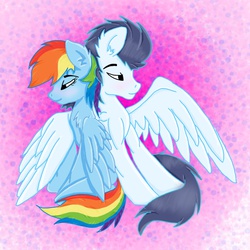 Size: 894x894 | Tagged: safe, artist:fireheartrubie, rainbow dash, soarin', g4, blushing, chest fluff, female, hug, male, ship:soarindash, shipping, sitting, smiling, spread wings, straight, winghug