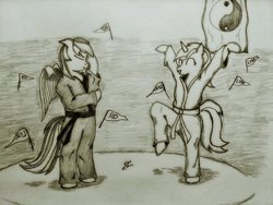 Size: 1024x768 | Tagged: safe, artist:corvostawr, lyra heartstrings, rainbow dash, semi-anthro, g4, duo, karate, monochrome