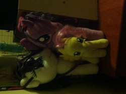 Size: 2592x1936 | Tagged: safe, artist:gracerats245, fluttershy, rarity, twilight sparkle, g4, female, irl, photo, plushie