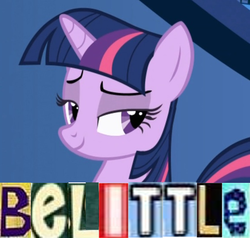 Size: 558x531 | Tagged: safe, screencap, twilight sparkle, g4, expand dong, exploitable meme, female, meme, smiling, smug, solo, text