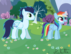 Size: 1024x776 | Tagged: safe, artist:rulette, rainbow dash, soarin', butterfly, g4, female, male, ship:soarindash, shipping, straight