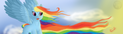 Size: 1000x280 | Tagged: safe, artist:karmadash, rainbow dash, g4, female, solo