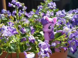 Size: 4128x3096 | Tagged: safe, artist:sleepyowlish, twilight sparkle, g4, flower, irl, photo, solo, toy