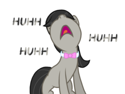 Size: 2048x1536 | Tagged: safe, artist:proponypal, octavia melody, earth pony, pony, g4, female, fetish, mare, nose, nose in the air, nostrils, pre sneeze, ready to sneeze, simple background, sneezing, sneezing fetish, snout, solo, transparent background