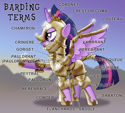 Size: 790x716 | Tagged: safe, artist:iisaw, coronet, twilight sparkle, alicorn, pony, armor, barding, boots, chamfron, clothes, couteau, cowter, crest (helmet), criniere, croupiere, cuisse, female, flanchards, gardequeue, glossary, gorget, helmet, knee pads, mare, pauldrant, pauldron, peytral, poleyn, raised hoof, rerebrace, rerebrant, sabaton (armor), saddle, shoes, shoulder guard, shoulder pads, solo, tack, text, twilight sparkle (alicorn), vambrant
