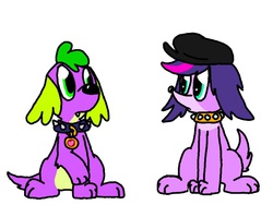 Size: 680x512 | Tagged: dead source, safe, artist:ask-labstarters, spike, dog, g4, collar, crossover, littlest pet shop, simple background, spike the dog, spike-daily, tumblr, white background, zoe trent