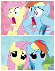 Size: 541x700 | Tagged: safe, screencap, fluttershy, rainbow dash, g4, trade ya!, dilated pupils, faic, hub logo, looking at you, open mouth, pouting, sad, screaming, shrunken pupils, tongue out, wide eyes