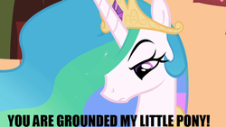 Size: 830x467 | Tagged: safe, princess celestia, g4, female, grounded, image macro, meme, momlestia, solo, text