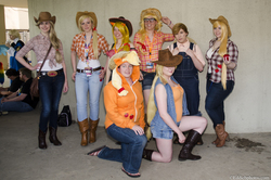 Size: 3929x2602 | Tagged: safe, applejack, human, g4, cosplay, high res, irl, irl human, photo