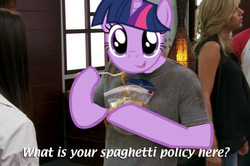 Size: 500x331 | Tagged: safe, edit, twilight sparkle, g4, /mlp/, image macro, it's always sunny in philadelphia, meme, spaghetti