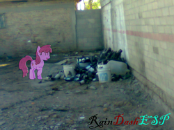 Size: 1024x768 | Tagged: safe, artist:raindashesp, berry punch, berryshine, g4, alley, bottle, bucket, irl, photo, ponies in real life, solo, trash, vector