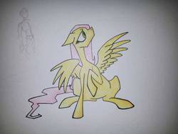 Size: 640x480 | Tagged: safe, artist:blains-illustrations, fluttershy, g4, traditional art