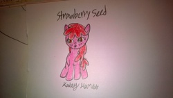 Size: 3552x2000 | Tagged: safe, artist:katey hanes, oc, oc only, oc:strawberry seed, high res, sitting, solo