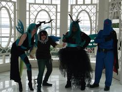 Size: 2048x1536 | Tagged: artist needed, safe, discord, queen chrysalis, human, g4, 2013, convention, cosplay, irl, irl human, katsucon, photo, rose, sunglasses