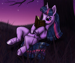 Size: 1200x1000 | Tagged: safe, artist:candycornsnake, twilight sparkle, g4, book, female, solo