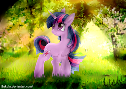 Size: 4092x2893 | Tagged: safe, artist:l1nkoln, twilight sparkle, pony, unicorn, g4, female, solo, unicorn twilight