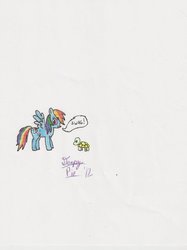 Size: 772x1034 | Tagged: safe, artist:derpypie, rainbow dash, tank, g4, simple background, swag