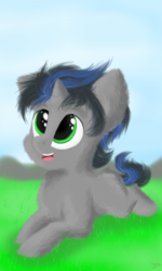 Size: 768x1280 | Tagged: safe, artist:vela112dkl, king sombra, g4, chest fluff, colt, colt sombra, cute, fluffy, foal, good king sombra, grass, looking up, male, open mouth, prone, smiling, solo, sombradorable