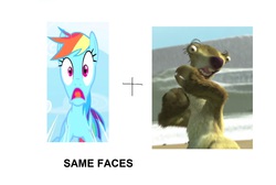 Size: 2472x1666 | Tagged: safe, rainbow dash, pegasus, pony, sloth, g4, face, ice age, meme, op is a duck, op is trying to start shit, sid the sloth