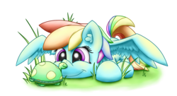 Size: 1291x701 | Tagged: safe, artist:solipsus, rainbow dash, tank, pegasus, pony, g4, female, mare, simple background, transparent background