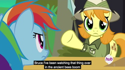 Size: 1280x719 | Tagged: safe, screencap, rainbow dash, teddie safari, bee, g4, trade ya!, boom, bruce, full set, hub logo, looking at you, meme, outdoors, tent, youtube caption