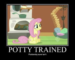 Size: 750x600 | Tagged: safe, fluttershy, g4, demotivational poster, female, hub logo, image macro, meme, potty time, solo