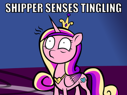 Size: 800x600 | Tagged: safe, artist:cogweaver, princess cadance, alicorn, pony, g4, eye twitch, female, image macro, jewelry, mare, meme, princess of love, princess of shipping, reaction, reaction image, regalia, shipper on deck, shipping, solo, twitch, wide eyes
