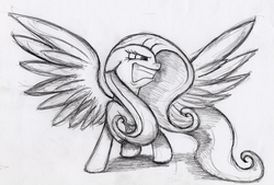 Size: 3697x2492 | Tagged: safe, artist:otto720, fluttershy, g4, angry, ears back, female, glare, gritted teeth, high res, looking back, monochrome, rage, raised hoof, sketch, solo, spread wings, traditional art