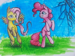 Size: 1280x960 | Tagged: safe, artist:tungstenbulb, fluttershy, pinkie pie, g4, traditional art