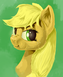 Size: 700x854 | Tagged: safe, artist:rallerae, applejack, g4, female, portrait, solo