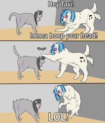 Size: 700x820 | Tagged: safe, artist:re_ghotion, dj pon-3, octavia melody, vinyl scratch, cat, dog, g4, angry, annoyed, boop, caption, catified, cute, dogified, floppy ears, grin, lol, meme, octavia is not amused, ponified animal photo, smiling, species swap, tail wag, tavibetes, unamused, vinylbetes