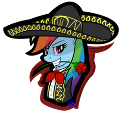 Size: 1000x950 | Tagged: safe, artist:bravelyart, rainbow dash, g4, female, flower, flower in mouth, mariachi, rose, rose in mouth, solo, sombrero