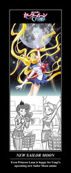 Size: 1024x2479 | Tagged: safe, artist:johnjoseco, princess luna, human, g4, crossover, humanized, motivational poster, poster, pretty guardian sailor moon crystal, sailor moon (series), sailor moon crystal, tsukino usagi