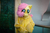 Size: 2551x1696 | Tagged: safe, fluttershy, human, b.u.c.k., g4, 2013, b.u.c.k. 2013, cosplay, fursuit, irl, irl human, photo, solo