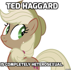 Size: 771x768 | Tagged: safe, applejack, g4, blatant lies, caption, gay, image macro, liarjack, male, meme, scrunchy face, solo, ted haggard