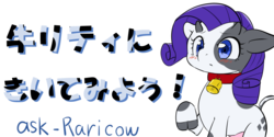 Size: 769x384 | Tagged: safe, artist:yajima, rarity, cow, g4, askraricow, cowified, female, japanese, raricow, simple background, solo, species swap, transparent background, udder