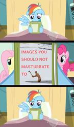 Size: 581x1000 | Tagged: safe, rainbow dash, earth pony, pegasus, pony, g4, book, book cover, exploitable meme, meme, reading rainbow, wat