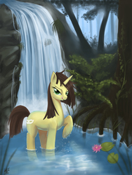 Size: 1200x1600 | Tagged: safe, artist:genbulein, oc, oc only, oc:whitewash, solo, water, waterfall