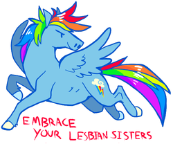 Size: 600x500 | Tagged: safe, artist:jester, rainbow dash, g4, drama, female, feminism, flying, glare, lesbian, mouthpiece, smiling, solo, spread wings, tumblr, unshorn fetlocks