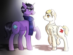 Size: 2048x1536 | Tagged: safe, artist:spaghettidolphin, bbc sherlock, clothes, eye contact, john watson, ponified, sherlock holmes