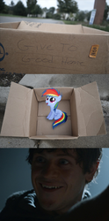 Size: 1320x2656 | Tagged: safe, rainbow dash, pegasus, pony, fanfic:my little dashie, g4, dashie meme, evil people finding dash meme, exploitable meme, game of thrones, meme, ramsay bolton, ramsay snow