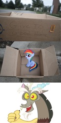 Size: 1320x2652 | Tagged: safe, discord, rainbow dash, draconequus, pegasus, pony, fanfic:my little dashie, g4, dashie meme, exploitable meme, good people finding dash meme, meme