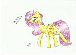 Size: 1024x745 | Tagged: safe, artist:careness, fluttershy, pegasus, pony, .mov, shed.mov, g4, ear fluff, fangs, fat albert and the cosby kids, female, fluttershed, grin, hey hey hey, looking at you, smiling, solo, walking, wide eyes
