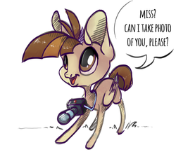 Size: 3000x2600 | Tagged: safe, artist:casynuf, featherweight, pegasus, pony, g4, camera, dialogue, featherbetes, high res, male, solo, speech bubble