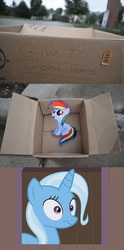 Size: 1320x2656 | Tagged: safe, rainbow dash, trixie, pegasus, pony, unicorn, fanfic:my little dashie, g4, dashie meme, exploitable meme, meme, momma trixie, neutral people finding dash meme