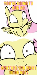 Size: 500x1000 | Tagged: safe, fluttershy, g4, c:, female, hape, image macro, looking at you, meme, smiling, solo, whether you like it or not, wide eyes